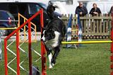 AGILITY - SAUT 043